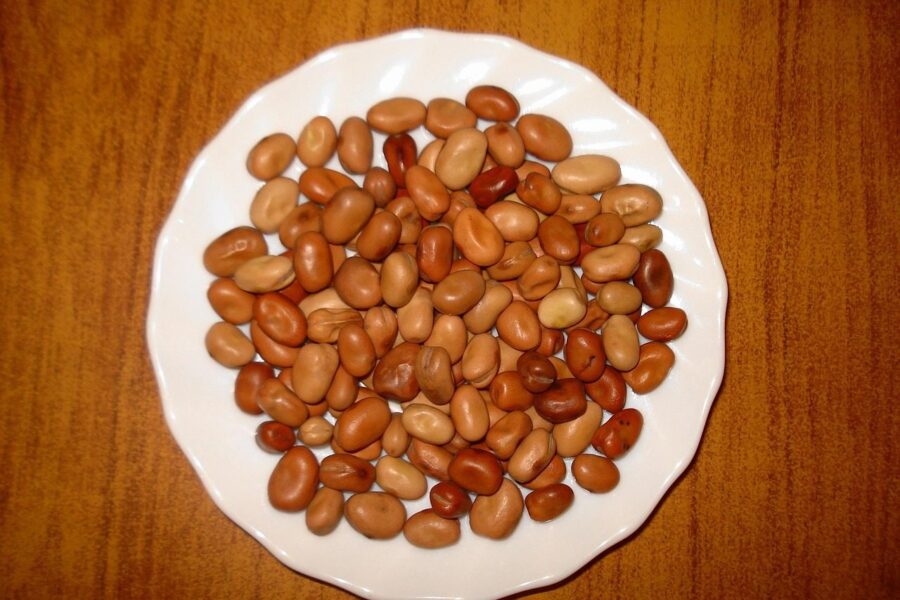 fava beans, food, plate, presentation, close-up, macro, brown presentation, fava beans, fava beans, fava beans, fava beans, fava beans