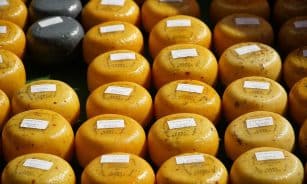 cheese, dutch cheese, market, food, cheese, cheese, cheese, cheese, cheese