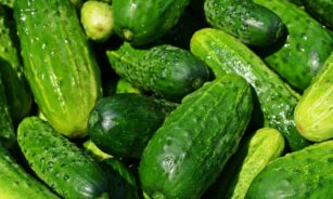 cucumbers, vegetables, green, healthy, fresh, food, green food, green vegetables, produce, harvest, organic, fresh produce, farmer's market, vegetable stand, vegetables, vegetables, vegetables, vegetables, vegetables, green, food, food