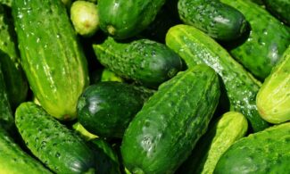 cucumbers, vegetables, green, healthy, fresh, food, green food, green vegetables, produce, harvest, organic, fresh produce, farmer's market, vegetable stand, vegetables, vegetables, vegetables, vegetables, vegetables, green, food, food