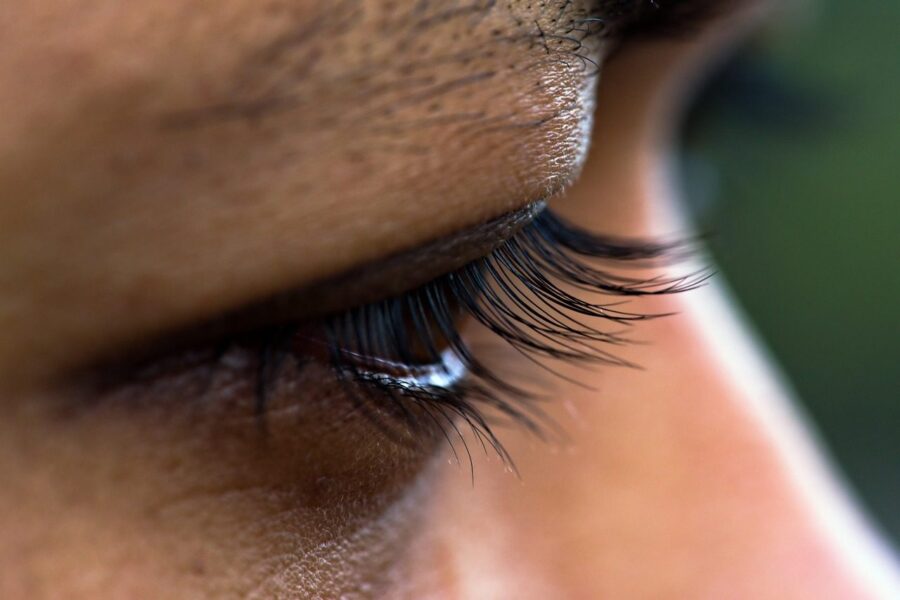 eyelashes, eye, human, vision, face, woman, closeup, macro
