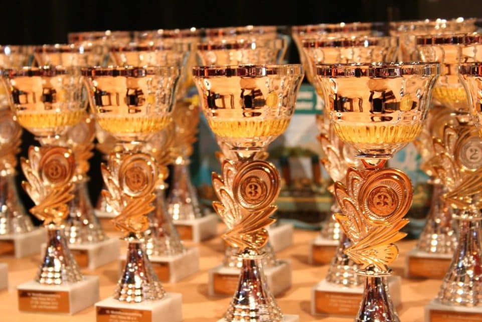 Apdovanojimas. Pixabay nuotr.