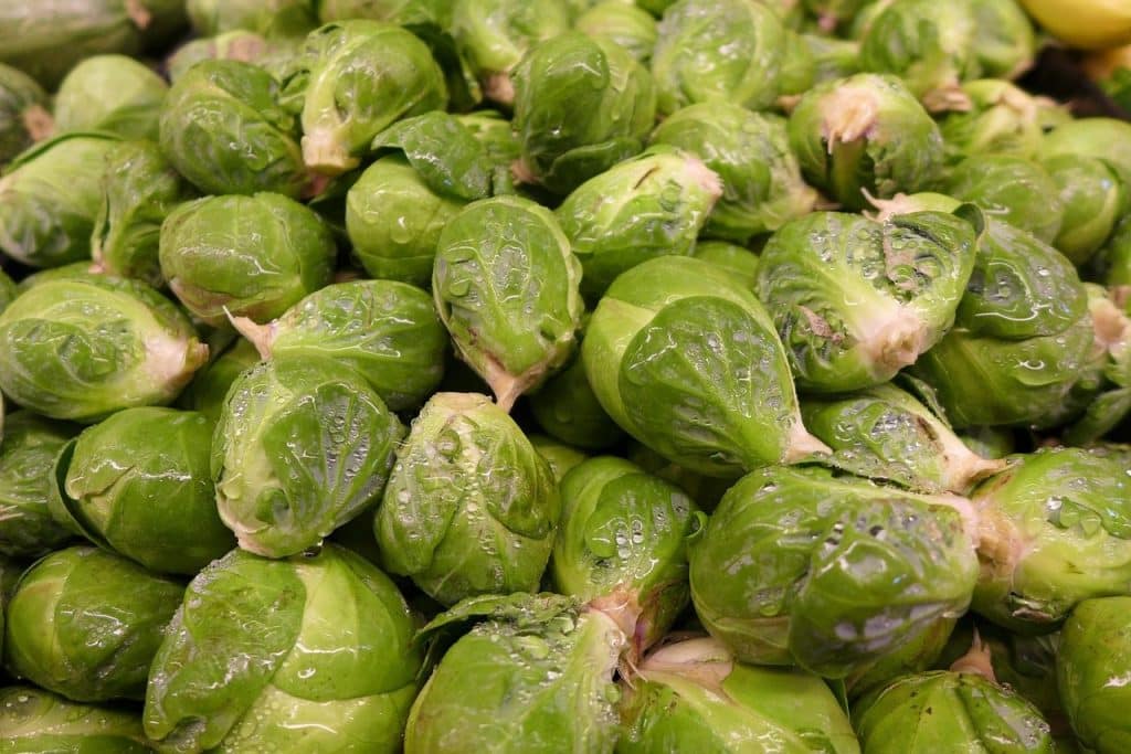 brussel sprouts, vegetable, nature, green, garden, ingredients, brussels sprouts