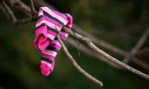 flotsam, sock, branch, nature, lost, tree, clothing