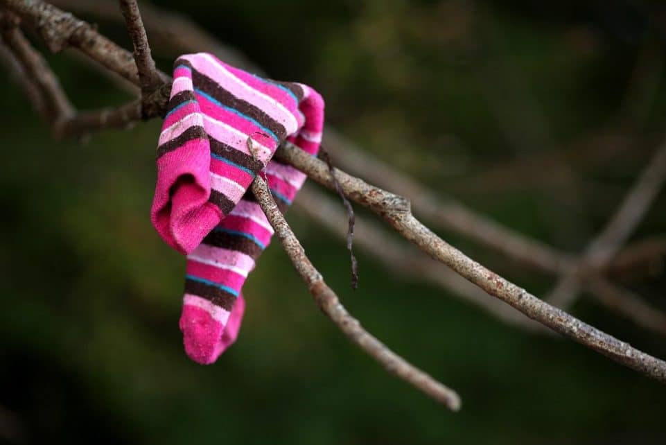 flotsam, sock, branch, nature, lost, tree, clothing