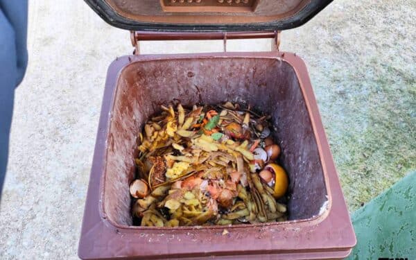 Šokiruojanti žiemos realybė: atliekų tvarkymas virtęs tyliu pavojumi gyventojams ir gamtai