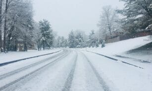 snow covered road between trees during daytime