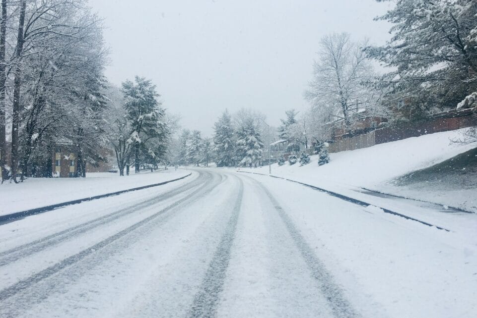 snow covered road between trees during daytime