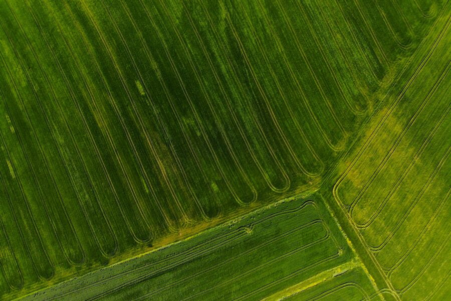 Žemė. Unsplash nuotr.