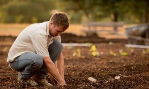 man in white shirt planting at daytime