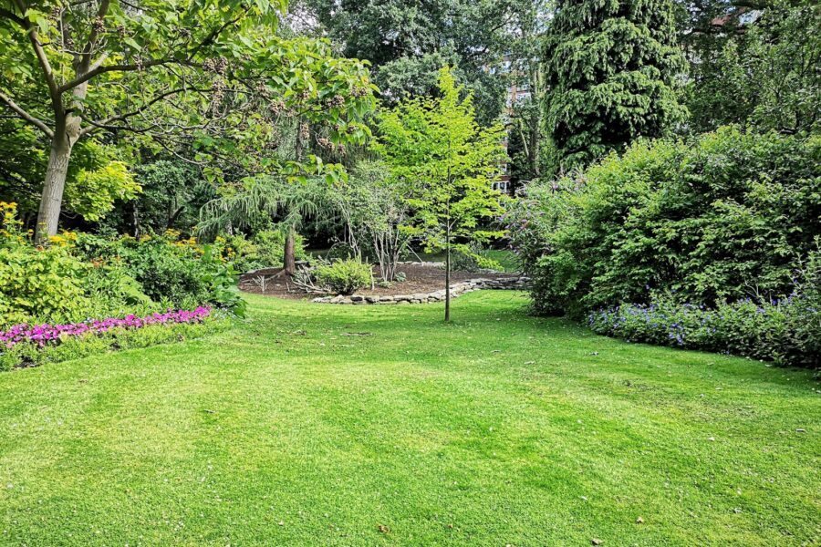 green grass field with trees