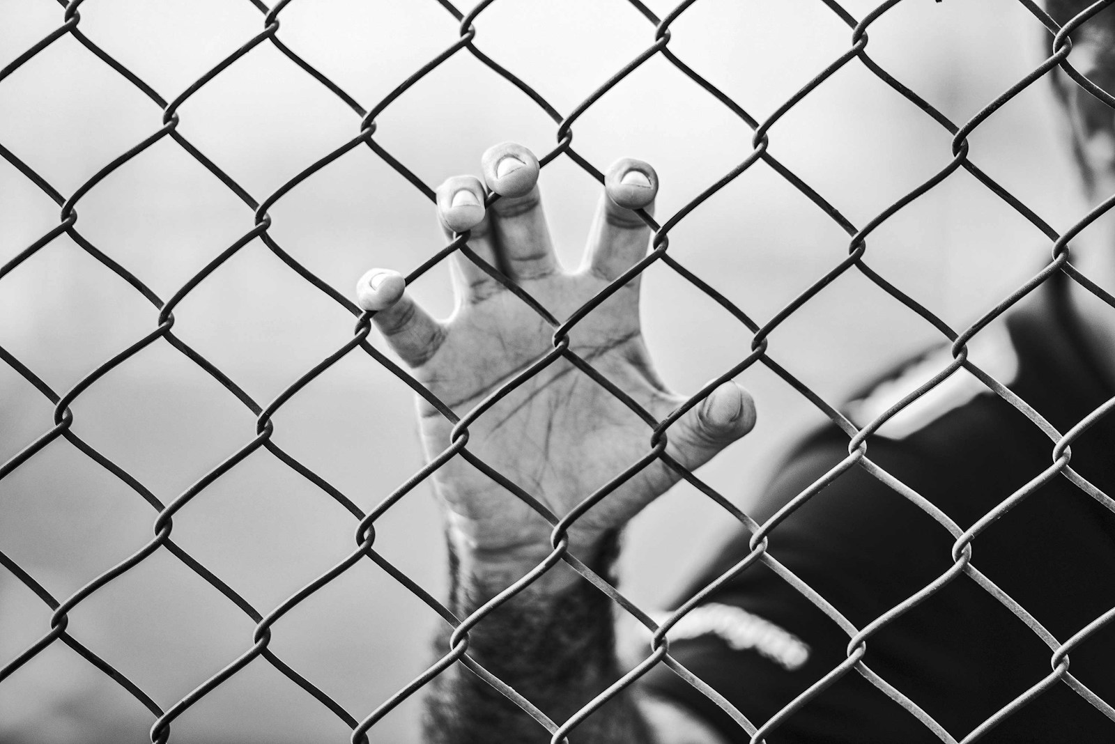 Laisvės šūksniai Venesueloje: po metų kalėjime – režimo kritiko sugrįžimas