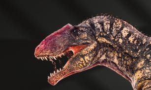 A detailed illustration of a dinosaur's head.