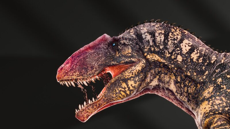 Saharoje aptiktas naujas dinozauras: jo paslaptinga kaukolė glumina mokslininkus