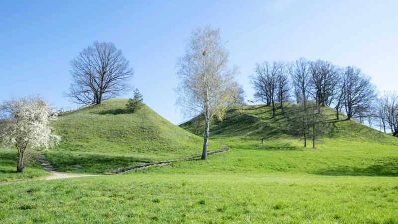 Paslaptinga Jotvingių žemė grįžta: Alytuje sprendžiama, kaip pritraukti turistus