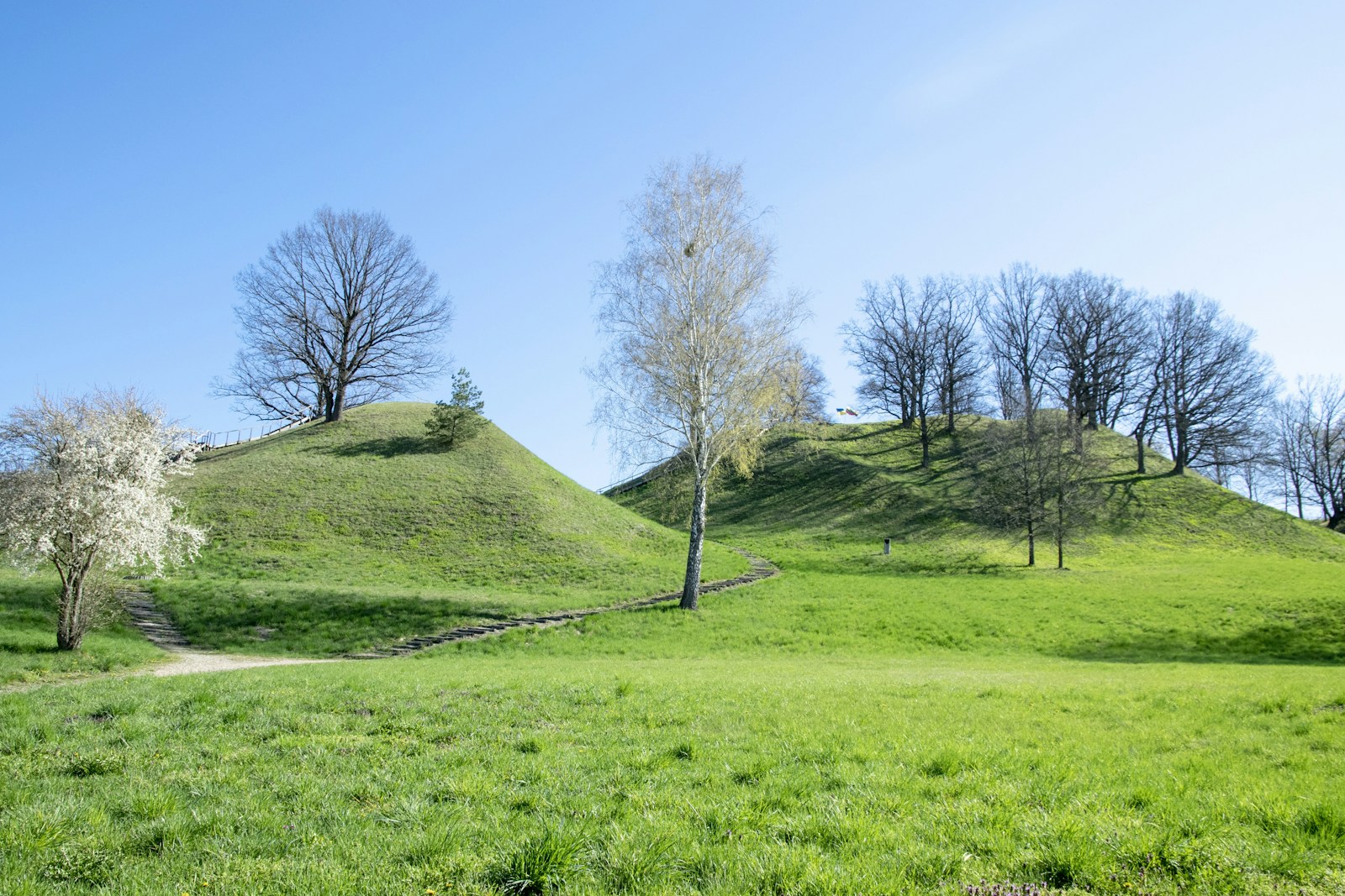 Paslaptinga Jotvingių žemė grįžta: Alytuje sprendžiama, kaip pritraukti turistus