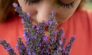 woman in orange shirt with purple flowers on her head
