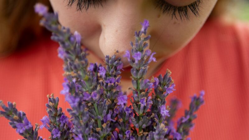 Tai ne tik malonus aromatas: sužinokite, kaip paprastas kvapas gali gydyti vėžį ir smegenų ligas