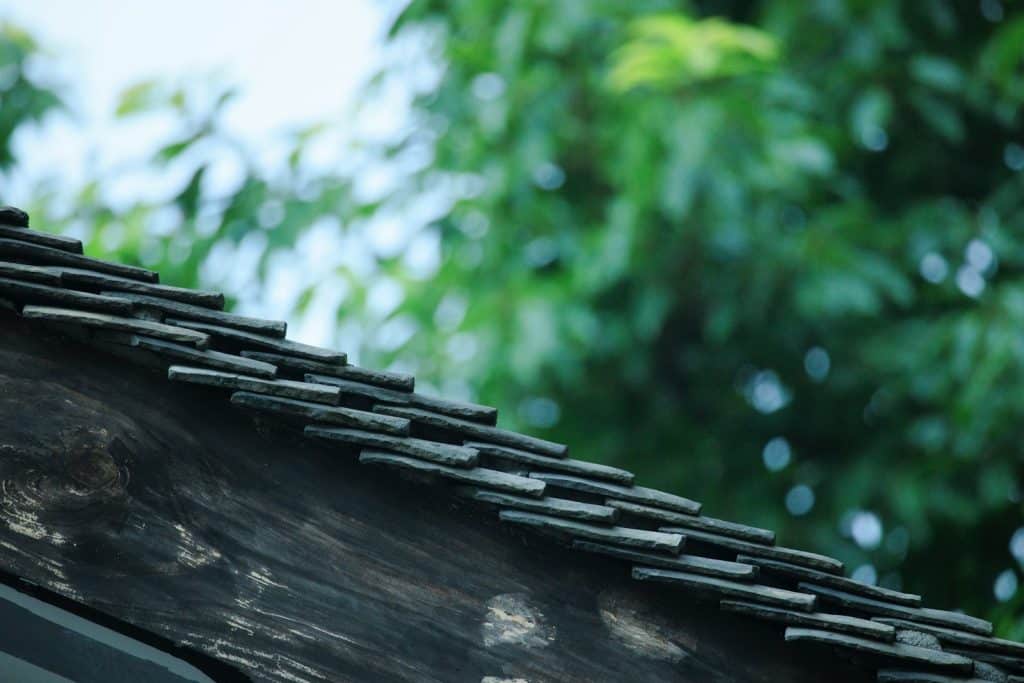 Close-up of weathered roof tiles with green foliage background.