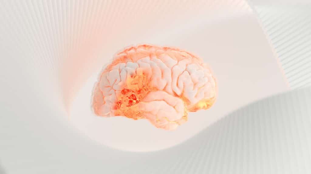 a close up of a human brain on a white surface