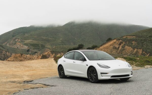 Kariuomenė skelbia pavojų: kodėl „Tesla” ir kiniški automobiliai nebepageidaujami Lenkijoje?