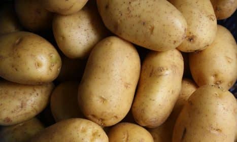 brown potato lot