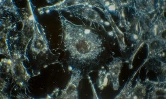 white and black abstract painting