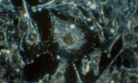 white and black abstract painting