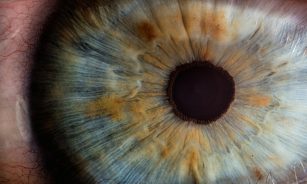 macro photography of human eye