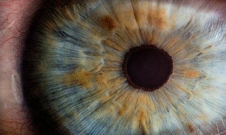 macro photography of human eye