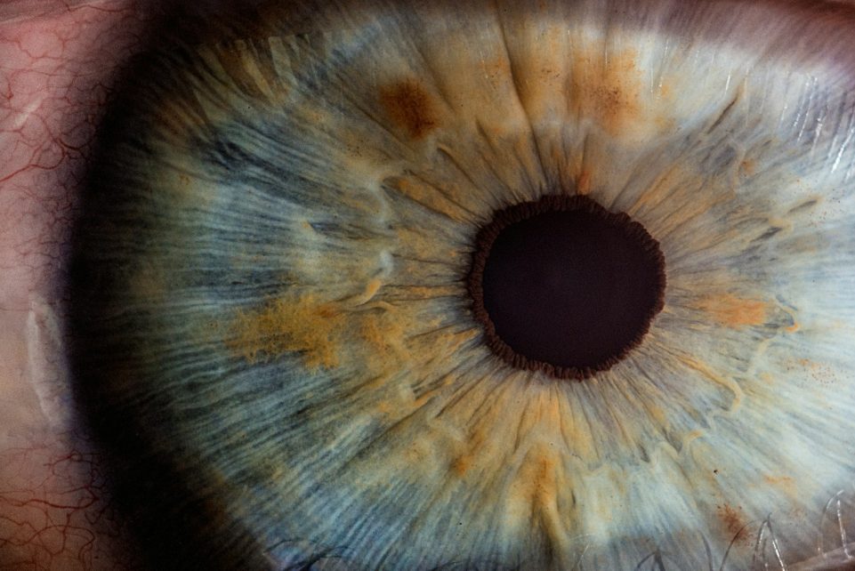 macro photography of human eye