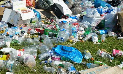 blue plastic bottle on green grass field