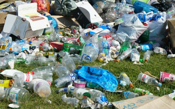 Ar tikrai mes kalti dėl šiukšlių? Vilniaus universiteto mokslininkas atskleidė tikrąją tiesą