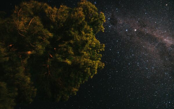 Dienos horoskopas antradieniui: ši diena gali parodyti, kur jūsų tikrasis kelias