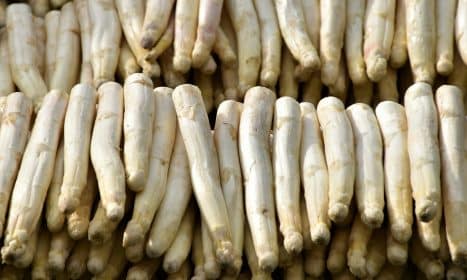 brown and white corn on blue and white ceramic plate