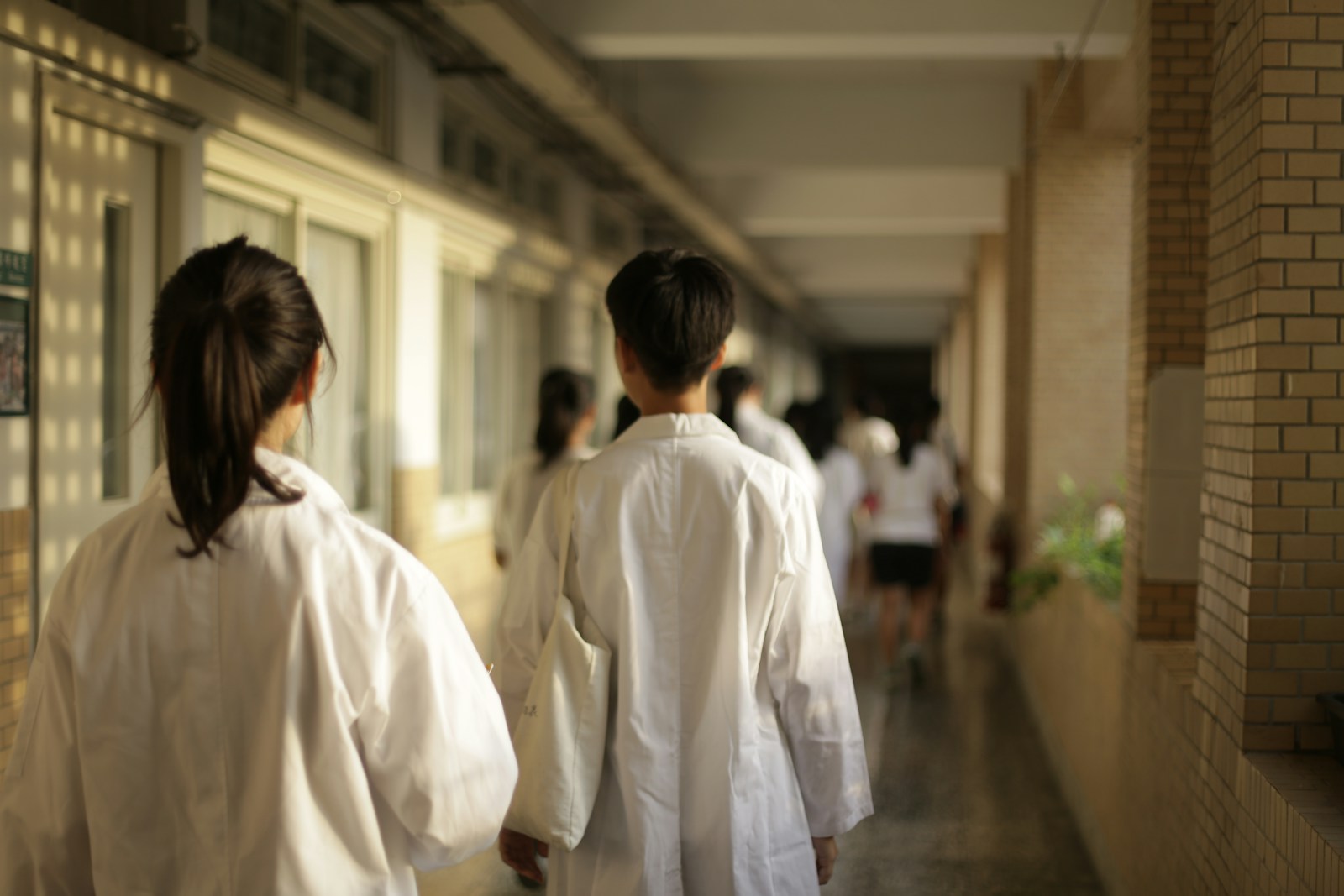Gydytojo apgaulė per echoskopijos tyrimą: medicinos studentės pasakojimas atskleidžia šiurpią tiesą