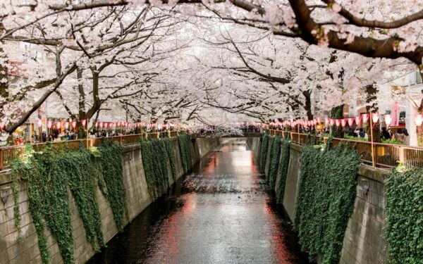 Rekordinis turistų skaičius Japonijoje turi kainą: Fudžijošidos miestas priėmė radikalų sprendimą