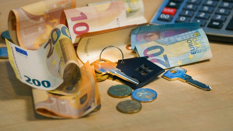 Verslininkės kaupia milijonus: beveik 75 proc. jau turi finansinę „oro pagalvę“