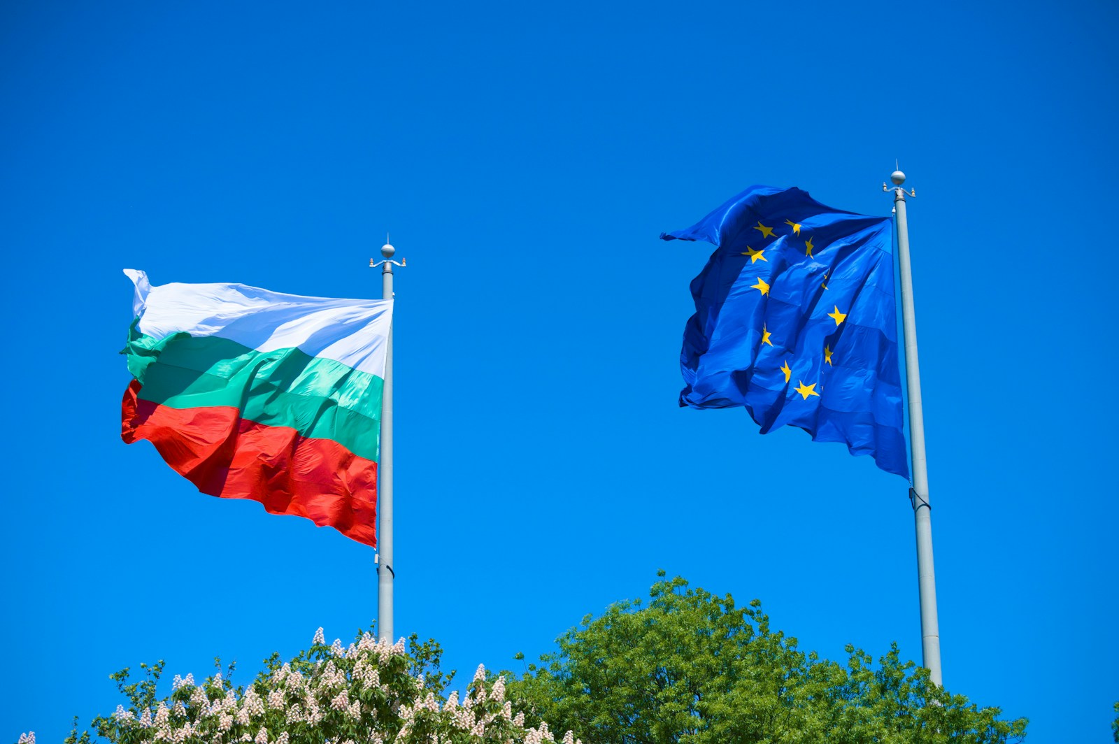 Krizė pasiekė piką: kodėl Bulgarijos prezidentas nusprendė atsistatydinti anksčiau laiko?