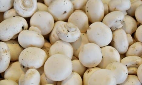 Pievagrybiai. Unsplash nuotr.