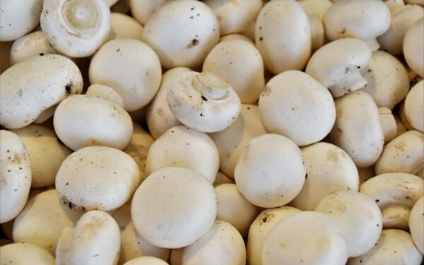 Kodėl pievagrybiai išskiria vandenį? Šis kepimo būdas išsprendžia problemą