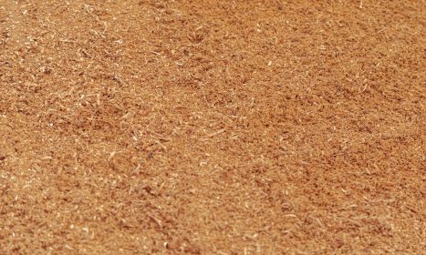 a baseball bat laying on a baseball field