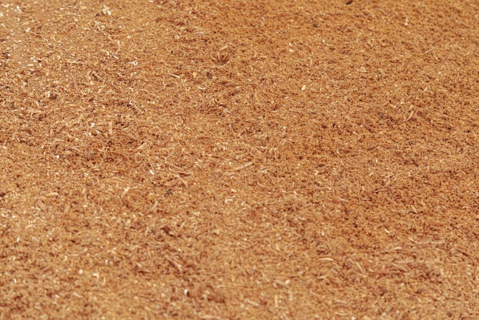 a baseball bat laying on a baseball field