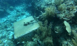 a piece of metal sitting on top of a coral reef