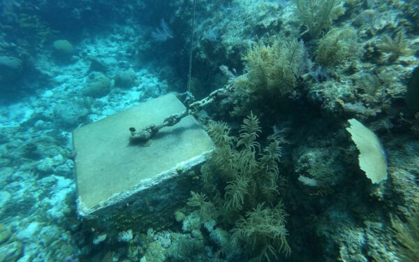 Povandeninis kelias prie Havajų pribloškė mokslininkus – ar tai Atlantida?