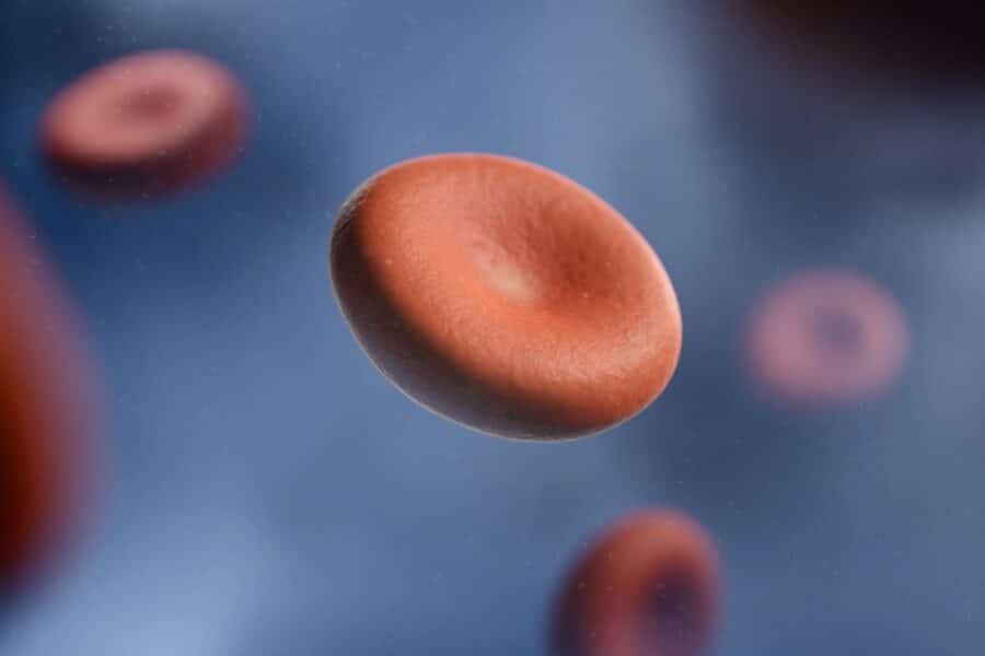 a group of red blood cells in a vein