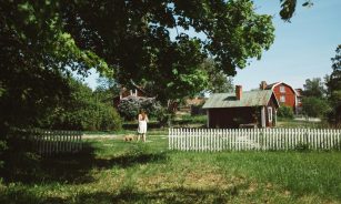 woman standing beside dog in green lawn