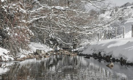 a lake surrounded by snow