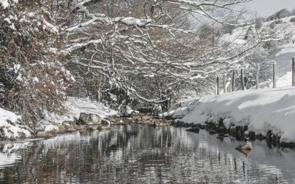 Staigus atšilimas kelia nerimą: Panevėžio rajone stiprinama hidrologinė kontrolė