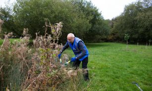 Man trimming tall grass and reeds in park.